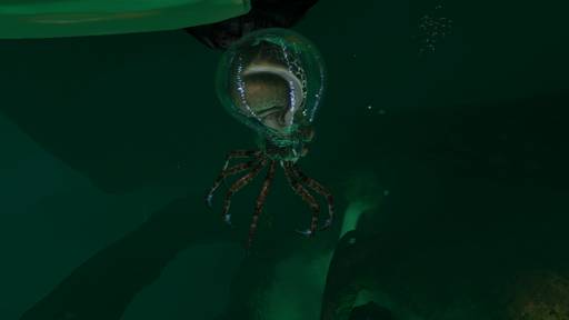 Subnautica - Subnautica - Кости в реке